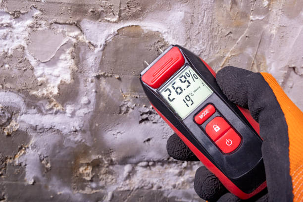 Best Toxic Mold Removal  in Geronimo, OK
