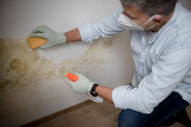 Best Mold Testing  in Geronimo, OK