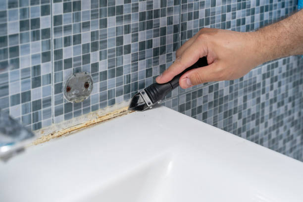 Best Best Mold Removal Companies  in Geronimo, OK