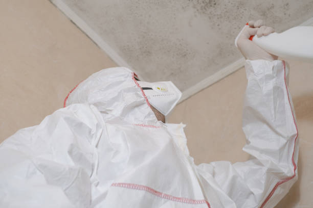 Best Attic Mold Removal  in Geronimo, OK