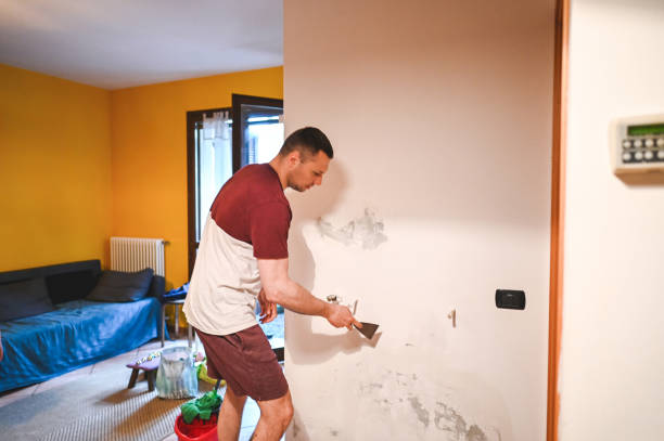 Best Home Mold Removal  in Geronimo, OK