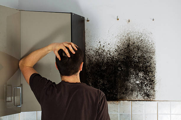 Best Affordable Mold Removal  in Geronimo, OK