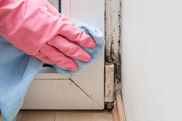 Best Mold Testing  in Geronimo, OK