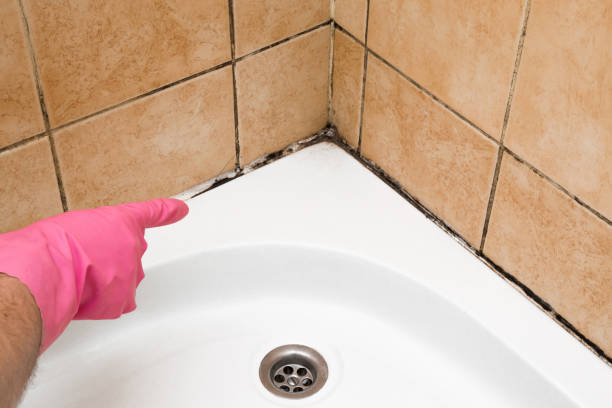 Best Office Mold Removal Services  in Geronimo, OK